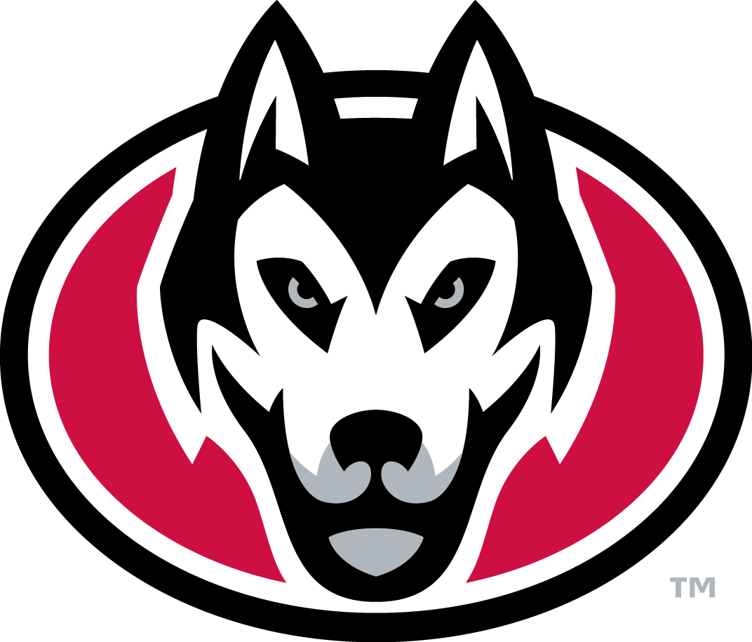 St. Cloud State Huskies 2014-Pres Secondary Logo DIY iron on transfer (heat transfer)